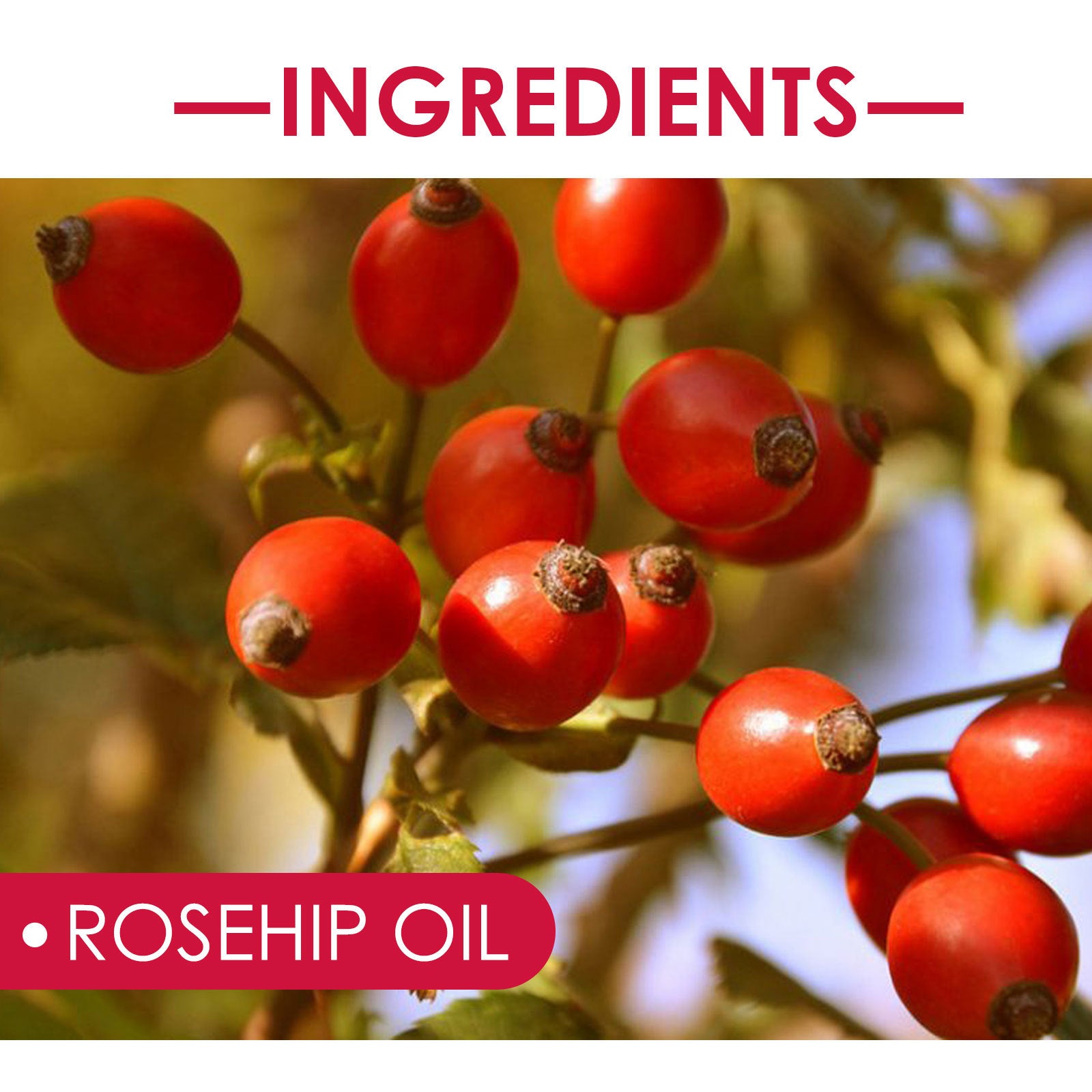 EELHOE Rosehip Facial Oil For Facial And Body Hydration - Rarvelle