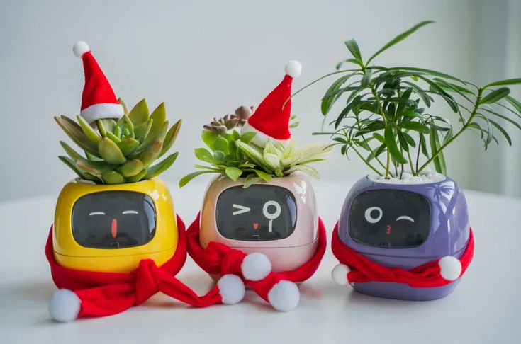 Rarvelle™ Smart Plant - Rarvelle