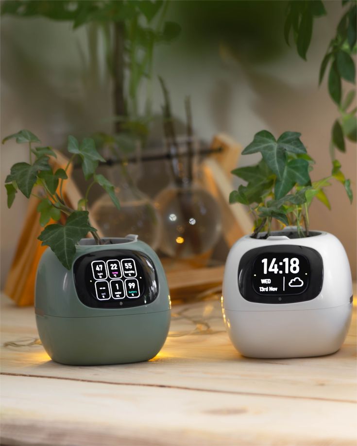 Rarvelle™ Smart Plant - Rarvelle