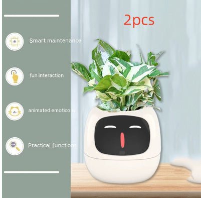 Rarvelle™ Smart Plant - Rarvelle