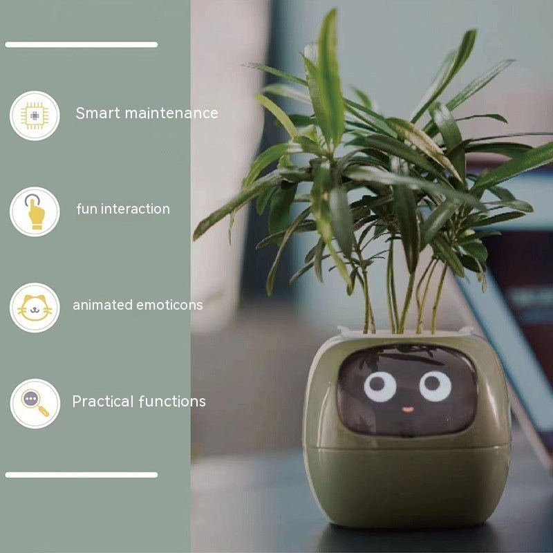 Rarvelle™ Smart Plant - Rarvelle