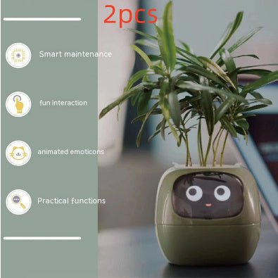 Rarvelle™ Smart Plant - Rarvelle