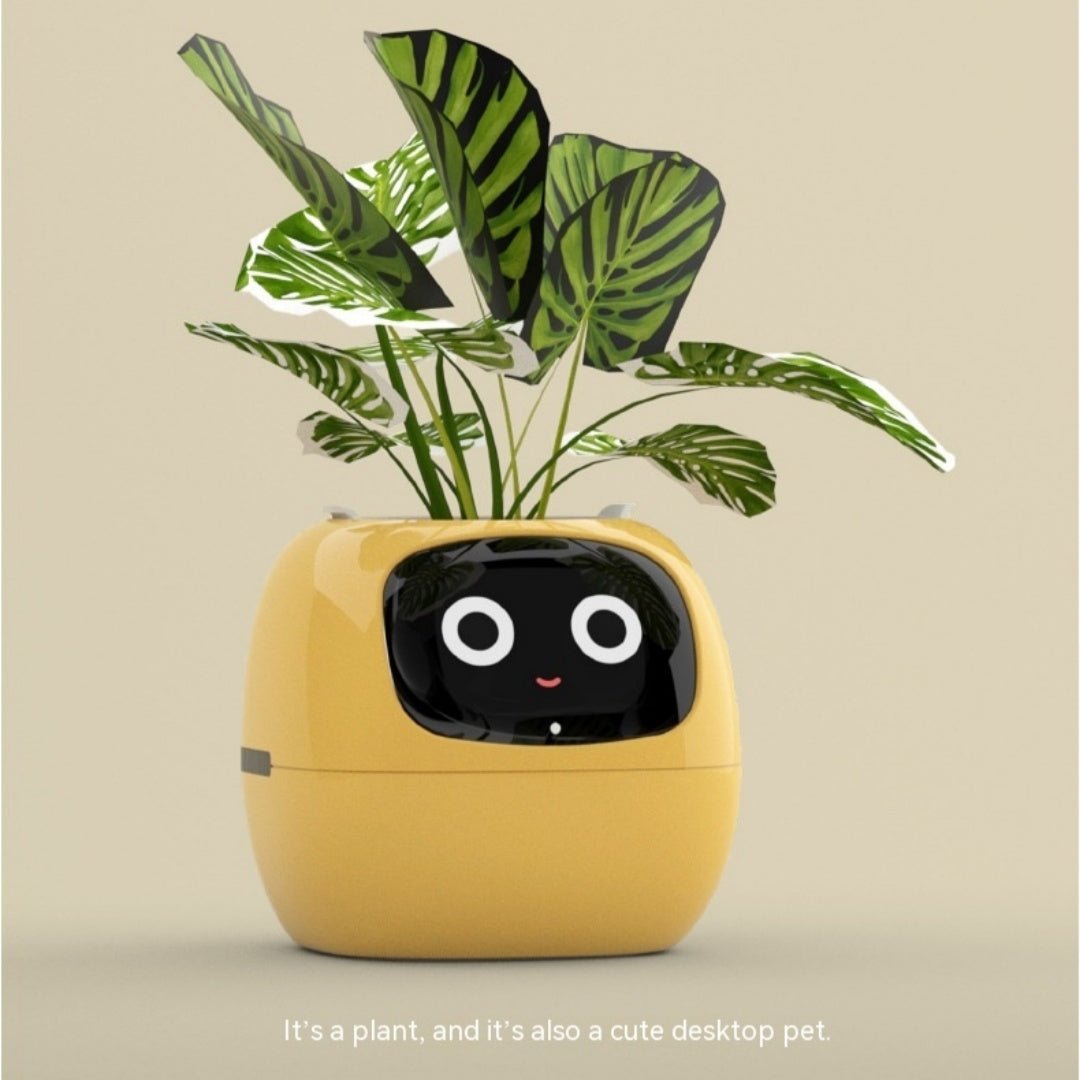 Rarvelle™ Smart Plant - Rarvelle