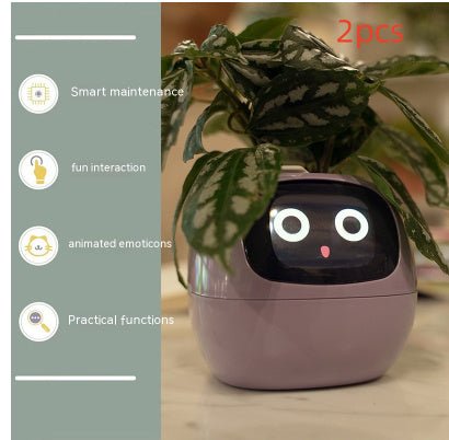 Rarvelle™ Smart Plant - Rarvelle