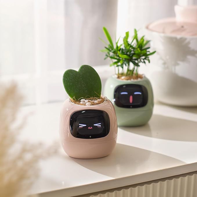 Rarvelle™ Smart Plant - Rarvelle