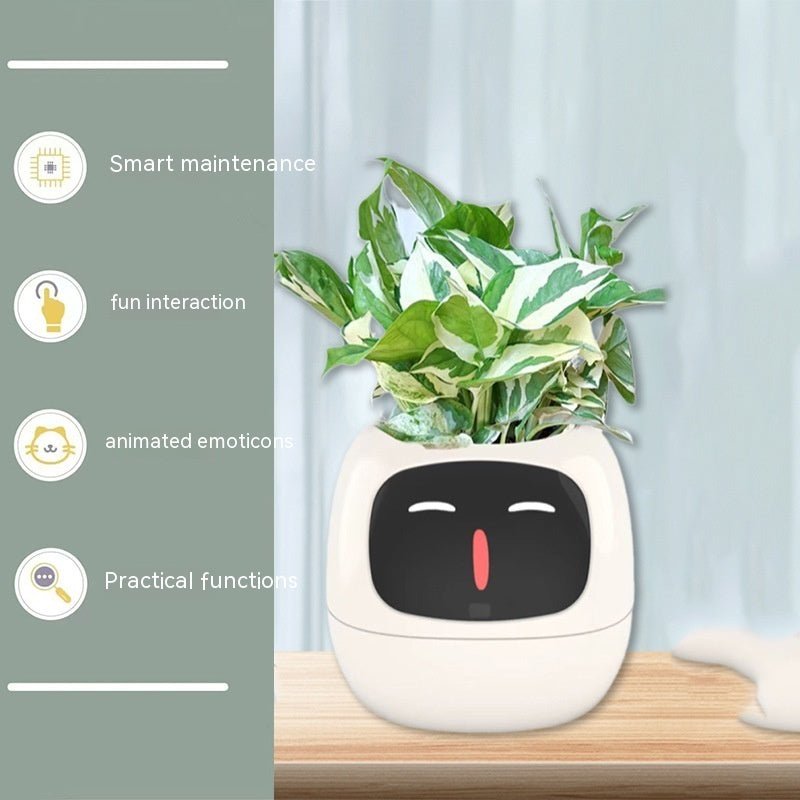 Rarvelle™ Smart Plant - Rarvelle