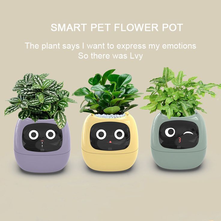Rarvelle™ Smart Plant - Rarvelle