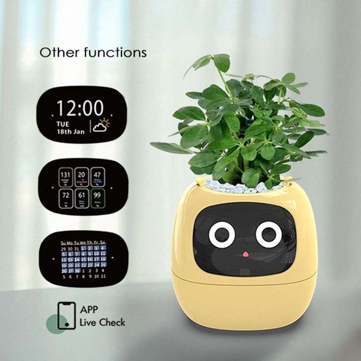 Rarvelle™ Smart Plant - Rarvelle